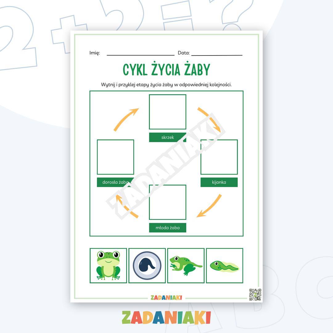 Pojedyncze karty – Cykl życia żaby: Poznaj niesamowity proces przemiany!