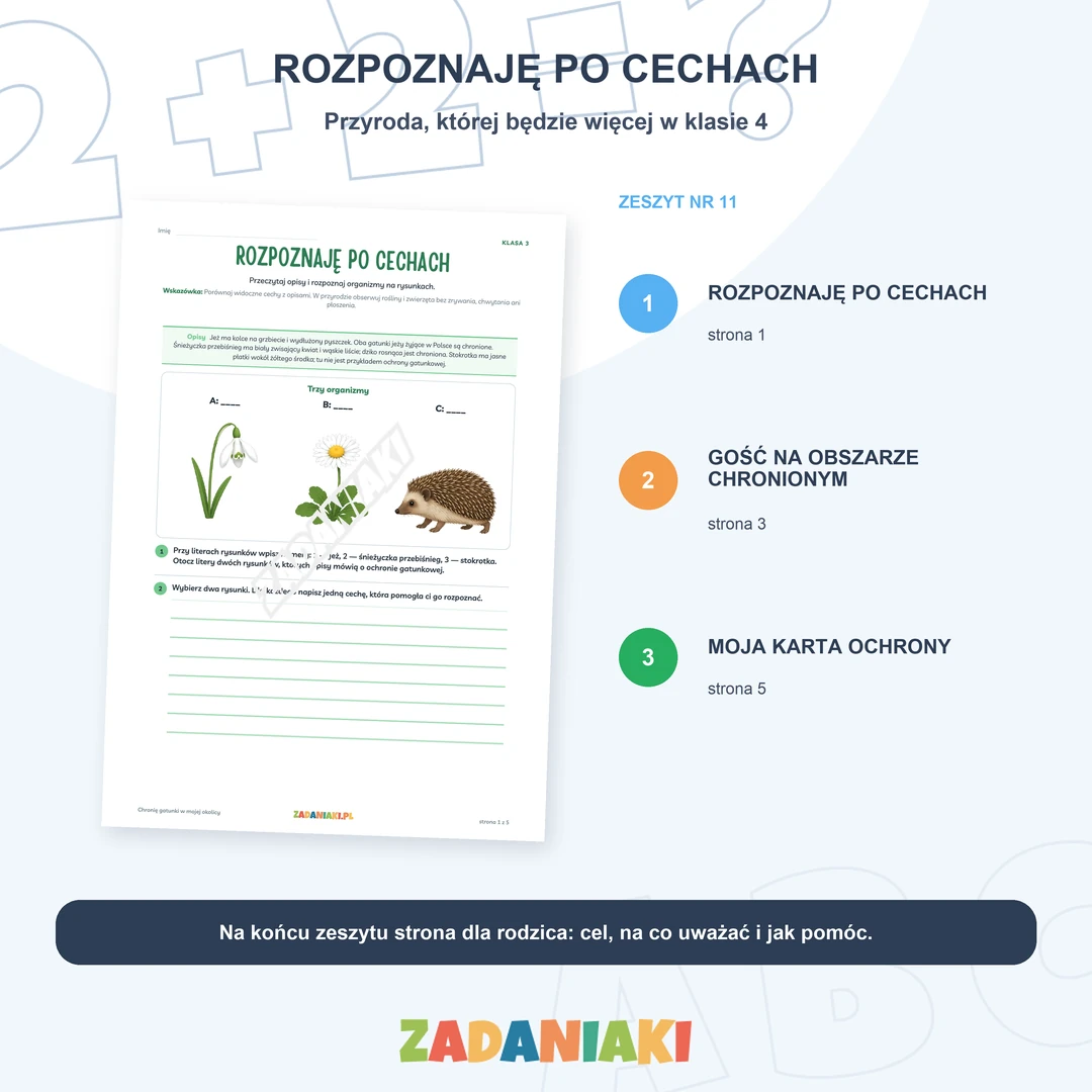 Klasa 3, etap 4: Gotowy do klasy 4 – Rozpoznaję po cechach