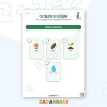 Zeszyt ćwiczeń – Przyroda i pory roku: porządkuj cykle roślin, pogody i zwierząt — przykładowa karta pracy 1